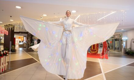 Bassano: a novembre un ricco programma di eventi e una mostra fotografica al Grifone