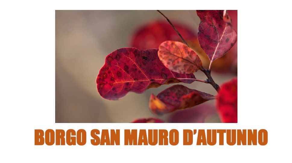 Borgo San Mauro d’autunno: mercoledì 5 novembre la presentazione del libro “L’ultimo ricordo” di Michele Fayenz