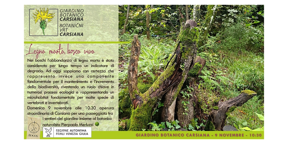 Legno morto, bosco vivo al Giardino botanico Carsiana