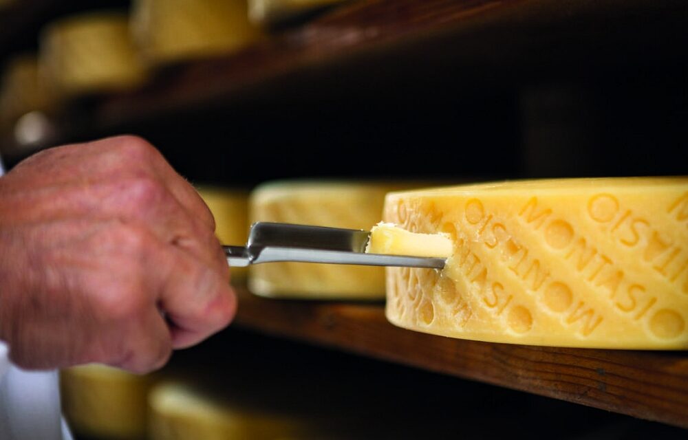 Cattel SpA scelta come partner dal Consorzio per la Tutela del Formaggio Montasio DOP per la valorizzazione di un’eccellenza italiana