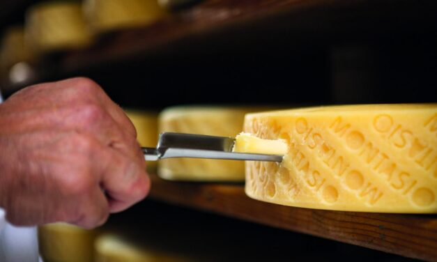 Cattel SpA scelta come partner dal Consorzio per la Tutela del Formaggio Montasio DOP per la valorizzazione di un’eccellenza italiana