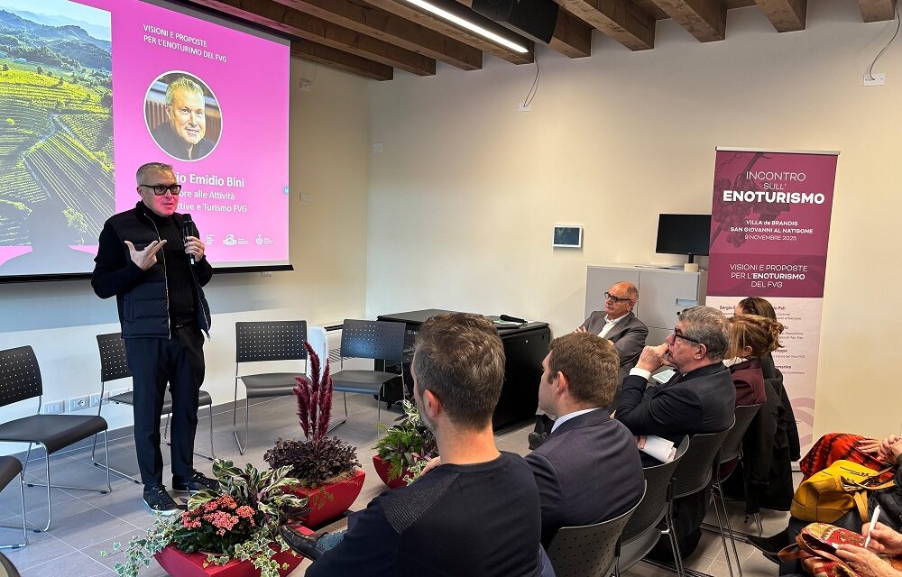 DISTRETTO COMMERCIO FRIULI ORIENTALE – Fare rete e superare le parcellizzazioni per un enoturismo sempre più forte