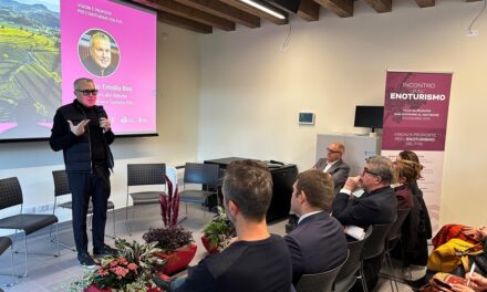 DISTRETTO COMMERCIO FRIULI ORIENTALE – Fare rete e superare le parcellizzazioni per un enoturismo sempre più forte