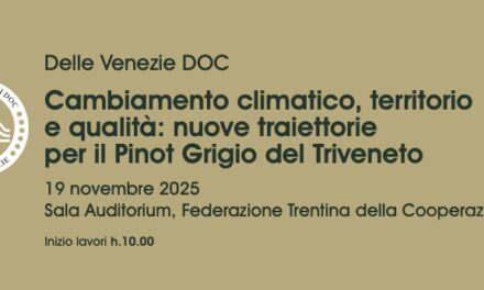 CAMBIAMENTO CLIMATICO, TERRITORIO E QUALITÀ: IL PINOT GRIGIO DOC DELLE VENEZIE GUARDA AL FUTURO