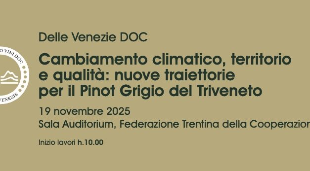CAMBIAMENTO CLIMATICO, TERRITORIO E QUALITÀ: IL PINOT GRIGIO DOC DELLE VENEZIE GUARDA AL FUTURO
