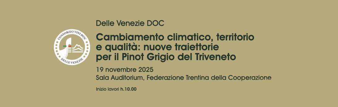 CAMBIAMENTO CLIMATICO, TERRITORIO E QUALITÀ: IL PINOT GRIGIO DOC DELLE VENEZIE GUARDA AL FUTURO