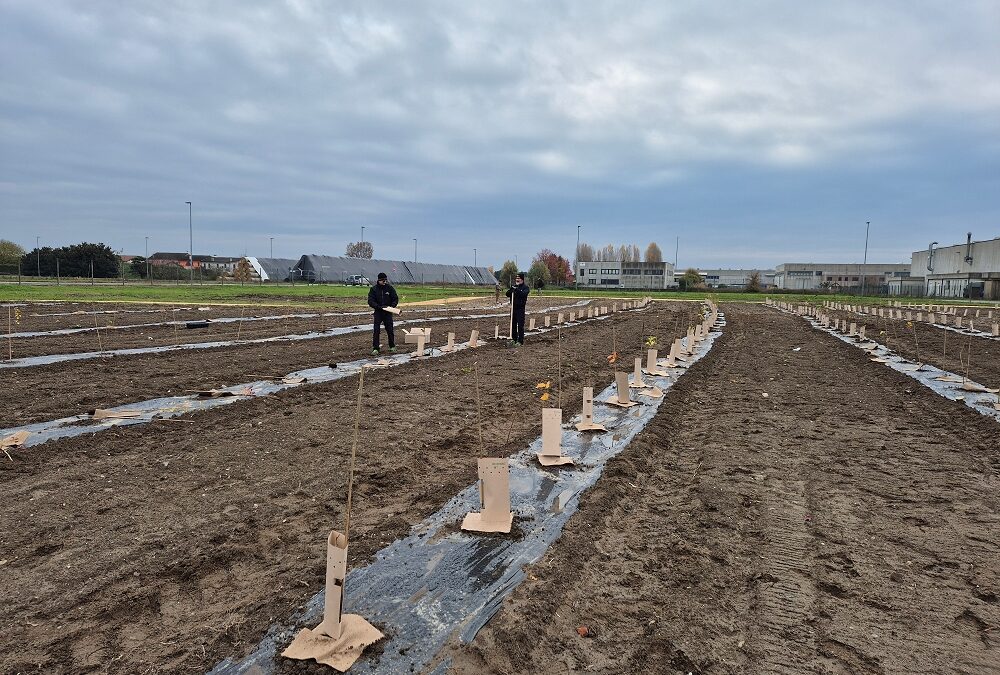 FRIGOVENETA PIANTA IL SUO BOSCO: NASCE FRIGOBOSCO, IL PROGETTO ESG CHE PORTA LA NATURA NELL’INDUSTRIA