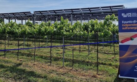 Ape Fvg: 170 aziende coinvolte nelle attività sulle agroenergie