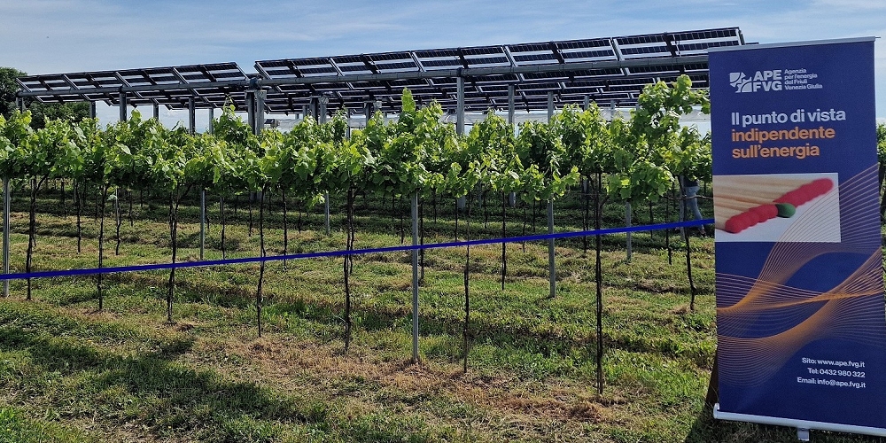 Ape Fvg: 170 aziende coinvolte nelle attività sulle agroenergie