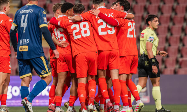 La prevendita di Triestina-Pro Patria