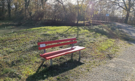 Livenza Tagliamento Acque dice NO alla violenza sulle donne: una panchina rossa per la riflessione e l’impegno
