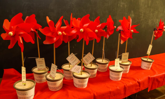 “UN GIARDINO DI GIRANDOLE: IL VENTO DEL CAMBIAMENTO CONTRO LA VIOLENZA”: IN OCCASIONE DELLA GIORNATA INTERNAZIONALE PER L’ELIMINAZIONE DELLA VIOLENZA CONTRO LE DONNE CONSEGNATE LE GIRANDOLE ROSSE AI RAPPRESENTANTI DELLE SCUOLE CHE HANNO PARTECIPATO ALL’INIZIATIVA