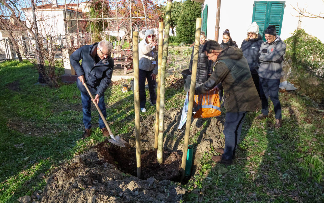 IL COMUNE DI TRIESTE METTE A DIMORA UN NUOVO ALBERO AL POLO GIOVANI: DEDICATO SIMBOLICAMENTE AI NUOVI NATI E ALLE NUOVE NATE DEL 2025