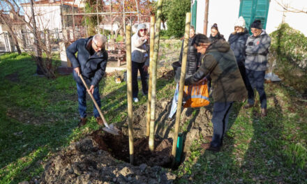 IL COMUNE DI TRIESTE METTE A DIMORA UN NUOVO ALBERO AL POLO GIOVANI: DEDICATO SIMBOLICAMENTE AI NUOVI NATI E ALLE NUOVE NATE DEL 2025
