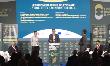 IL CONSORZIO BOSCHI CARNICI FINALISTA A ROMA TRA I MIGLIORI PROGETTI ITALIANI REALIZZATI CON I FONDI COFINANZIATI PER L‘AGRICOLTURA