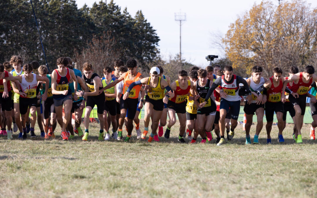 50ª Carsolina Cross: oltre 800 partecipanti celebrano mezzo secolo di corsa campestre sul Carso triestino