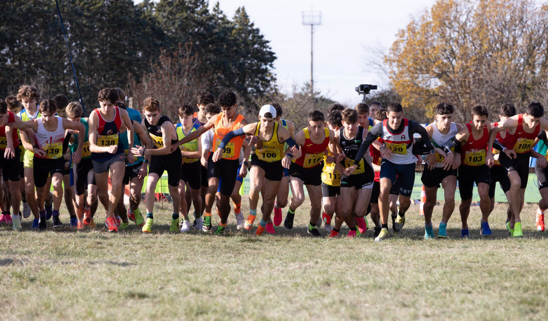 50ª Carsolina Cross: oltre 800 partecipanti celebrano mezzo secolo di corsa campestre sul Carso triestino