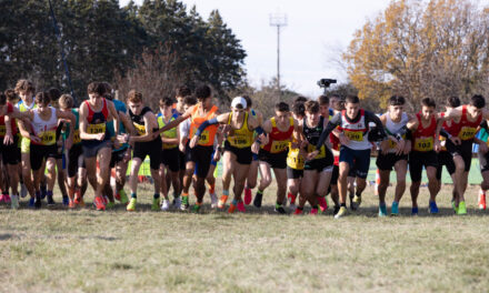 50ª Carsolina Cross: oltre 800 partecipanti celebrano mezzo secolo di corsa campestre sul Carso triestino