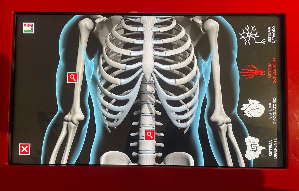 Sotto la pelle: alla scoperta del corpo umano all’Immaginario Scientifico di Trieste