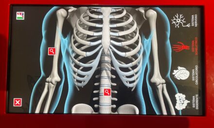 Sotto la pelle: alla scoperta del corpo umano all’Immaginario Scientifico di Trieste