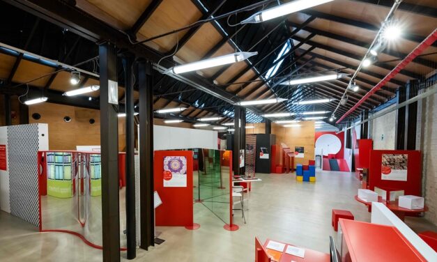 Specchi, giochi e simmetrie all’Immaginario Scientifico di Pordenone
