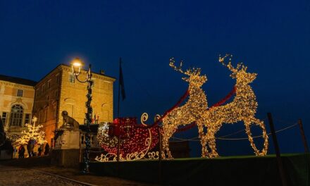 40 GIORNI A NATALE: L’ALBERO È IL RE DELLE FESTE PRESENTE IN 9 CASE SU 10, SUPERA PRANZO DEL 25 DICEMBRE, PRESEPE E CENA DELLA VIGILIA