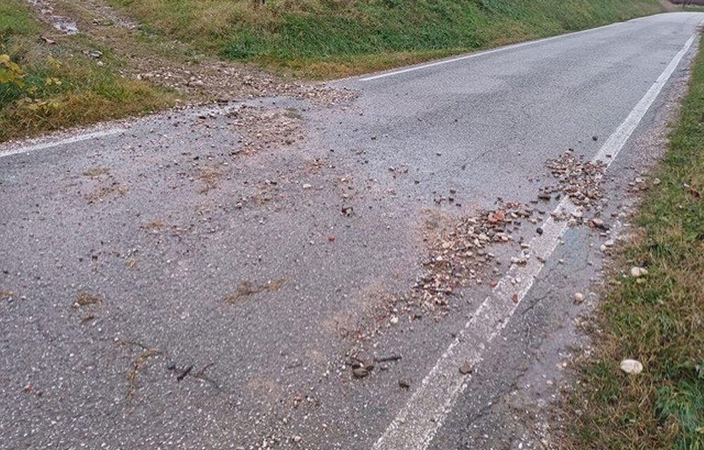 DANNI DA MALTEMPO ANCHE NEI COLLI ORIENTALI DEL FRIULI: IL CONSORZIO TUTELA VINI HA AVVIATO UNA RICOGNIZIONE SUL TERRITORIO