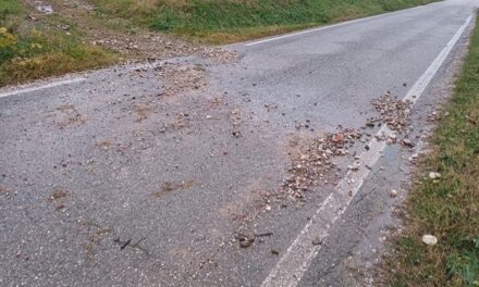 DANNI DA MALTEMPO ANCHE NEI COLLI ORIENTALI DEL FRIULI: IL CONSORZIO TUTELA VINI HA AVVIATO UNA RICOGNIZIONE SUL TERRITORIO