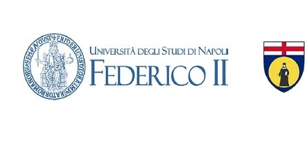 OGS – Campi Flegrei: un nuovo studio individua una fase preparatoria dei principali eventi sismici