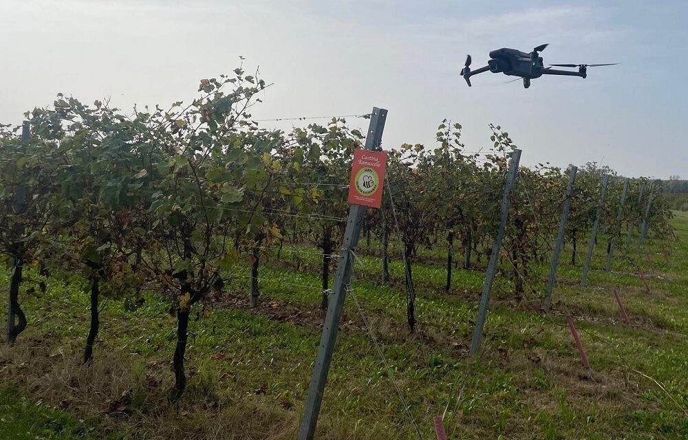 Gestione moderna del vigneto: a Ramuscello un incontro su droni, sensori e tecniche digitali