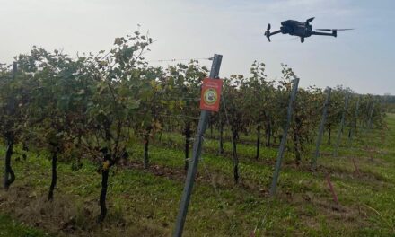 Gestione moderna del vigneto: a Ramuscello un incontro su droni, sensori e tecniche digitali