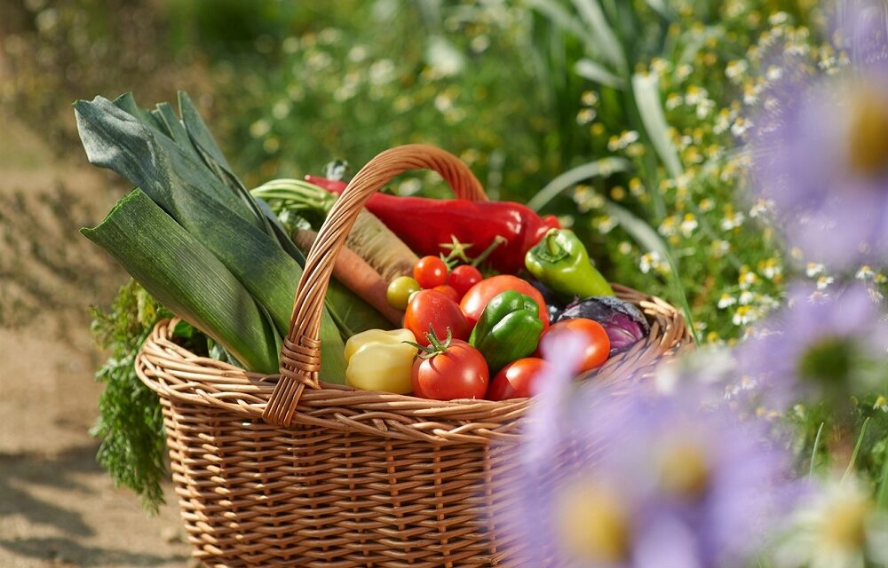 Siamo quello che mangiamo? I migliori programmi alimentari dai principali centri termali della Slovenia