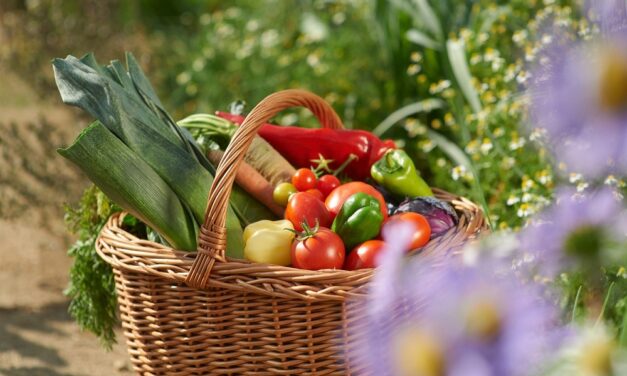 Siamo quello che mangiamo? I migliori programmi alimentari dai principali centri termali della Slovenia