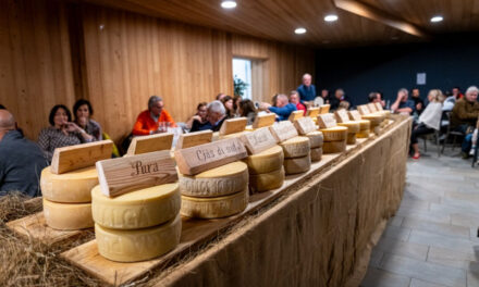 Come produrre formaggi di capra? Un corso a Sutrio all’interno del progetto Green Carnia Fest