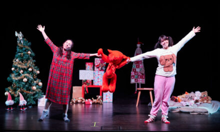 “A TUTTO NATALE”: A UDINE UNA RICCA PROGRAMMAZIONE A CURA DE “LA COMPAGNIA DEI RISERVATI”, CON IL CICLO “AVVENTO A SORPRESA” E IL DEBUTTO DI UNO SPETTACOLO PER FAMIGLIE