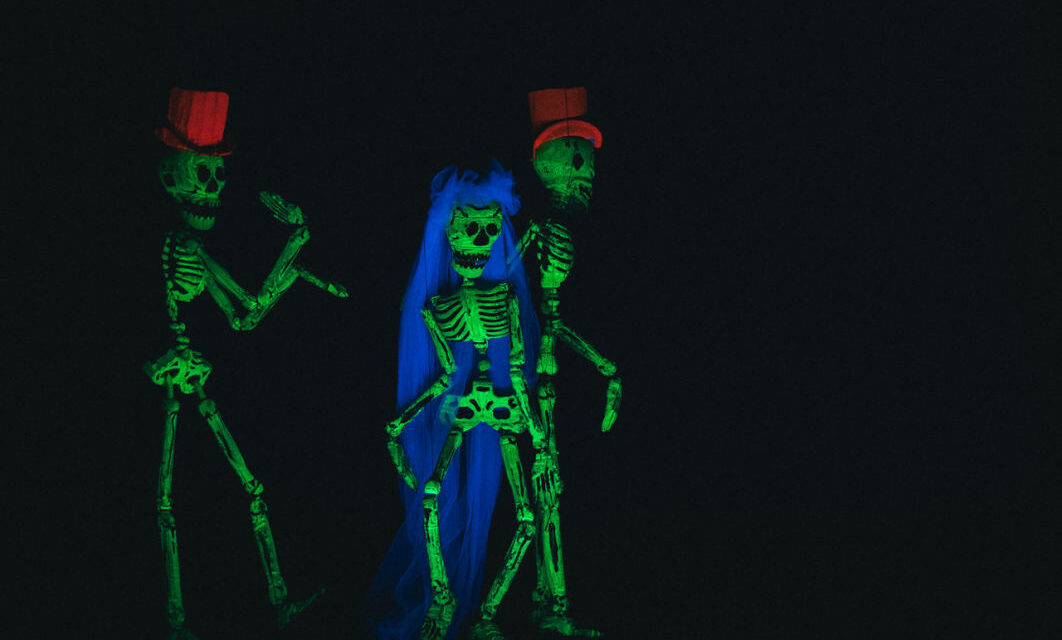 concluso con una applaudita restituzione in scena il corso di formazione per aspiranti marionettisti e artisti del teatro di figura, che il Teatro Stabile del Friuli Venezia Giulia