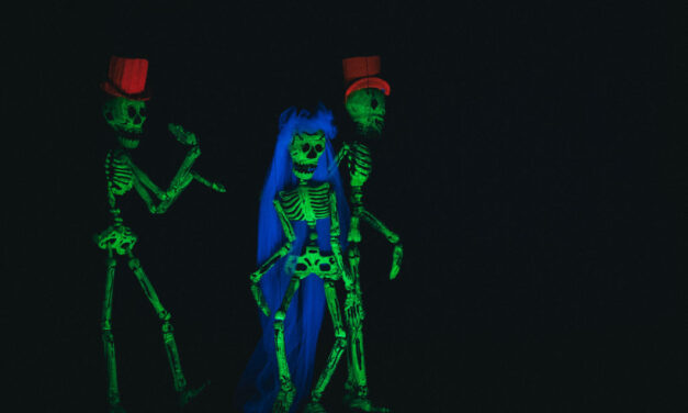 concluso con una applaudita restituzione in scena il corso di formazione per aspiranti marionettisti e artisti del teatro di figura, che il Teatro Stabile del Friuli Venezia Giulia