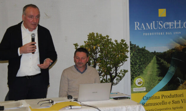 Cantina di Ramuscello: conferma di un buon bilancio
