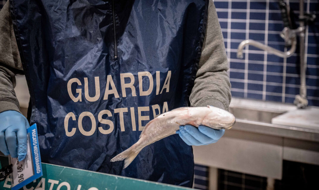 Operazione complessa nazionale “FISH_NET”