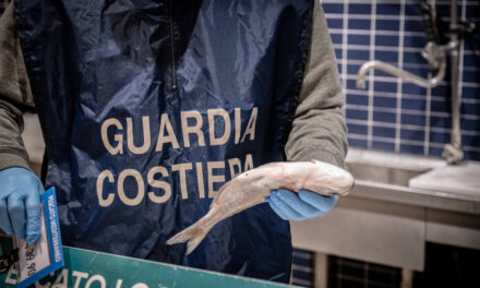 Operazione complessa nazionale “FISH_NET”