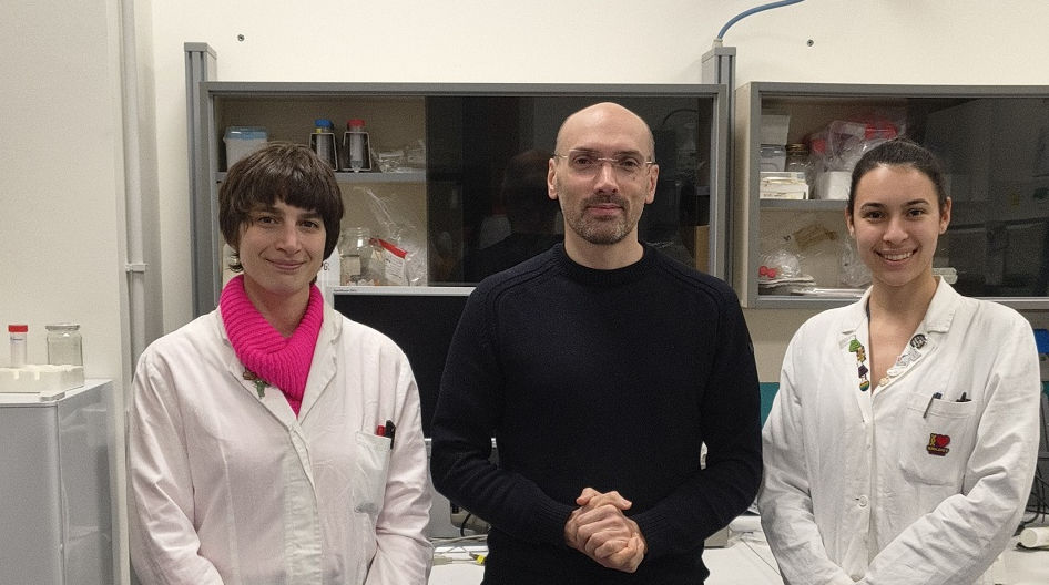 UNIVERSITÀ DI UDINE, UN RISULTATO SENZA PRECEDENTI: TRASFERIRE, MODIFICARE E SOSTITUIRE INTERI CROMOSOMI UMANI MANTENENDO INTATTA LA LORO STRUTTURA