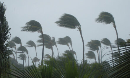 Meteo FVG: tra clima e cambiamento