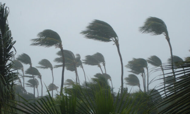 Meteo FVG: tra clima e cambiamento