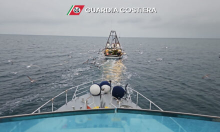 Il contributo regionale all’Operazione complessa nazionale “FISH_NET”