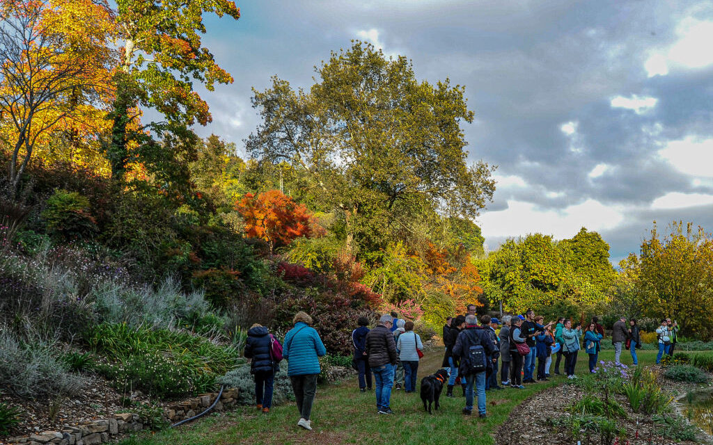 AL GIARDINO VIATORI SI ACCENDE LA MAGIA DEL NATALE: UN LABORATORIO CREATIVO CHIUDE LA STAGIONE DEGLI EVENTI 2025
