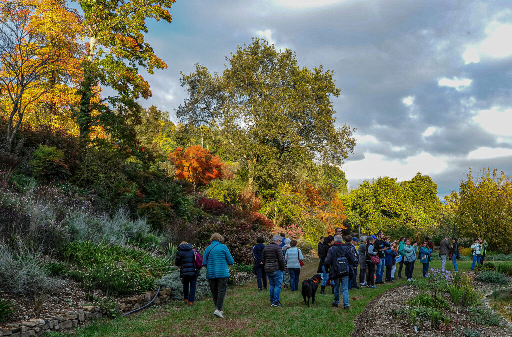 AL GIARDINO VIATORI SI ACCENDE LA MAGIA DEL NATALE: UN LABORATORIO CREATIVO CHIUDE LA STAGIONE DEGLI EVENTI 2025