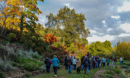 AL GIARDINO VIATORI SI ACCENDE LA MAGIA DEL NATALE: UN LABORATORIO CREATIVO CHIUDE LA STAGIONE DEGLI EVENTI 2025