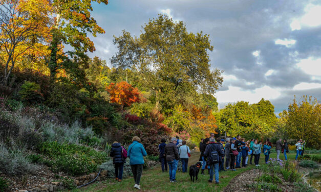 AL GIARDINO VIATORI SI ACCENDE LA MAGIA DEL NATALE: UN LABORATORIO CREATIVO CHIUDE LA STAGIONE DEGLI EVENTI 2025