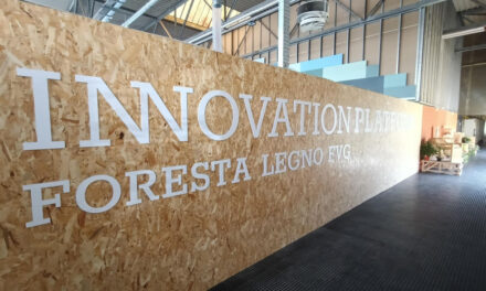 Il Fvg apre al “tecnico geo-forestale”