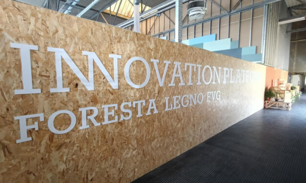 Il Fvg apre al “tecnico geo-forestale”